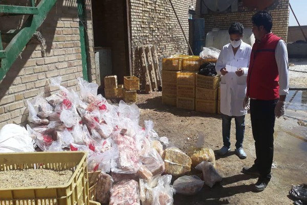 امحاء و معدوم سازی بیش از 300 کیلوگرم گوشت سفید و قرمز غیر بهداشتی شهرستان طرقبه شاندیز در کوره پخت کشتارگاه 