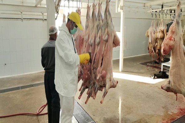 نظارت بهداشتی بر کشتار بیش از 13 هزار رأس دام در شهرستان طرقبه شاندیز   